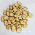 Bulk Peeled Broad Beans In Qinghai Fave Beans For Sale